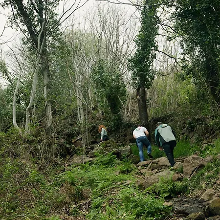 Hanami House Boutique & Nature- Valle Del Jerte Villa