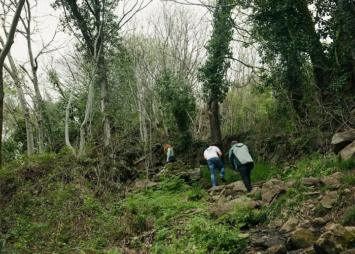 Hanami House Boutique 4 Estrellas Valle Del Jerte Kro